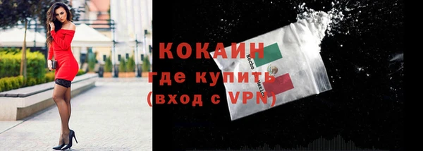 spice Аркадак