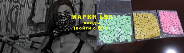 spice Аркадак
