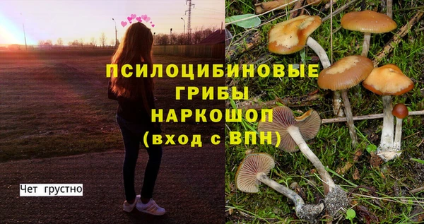 соль курить ск Армянск