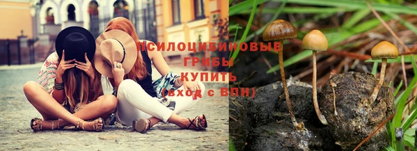 spice Аркадак