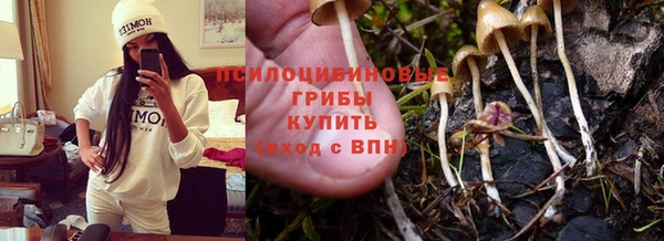 круглые Арсеньев