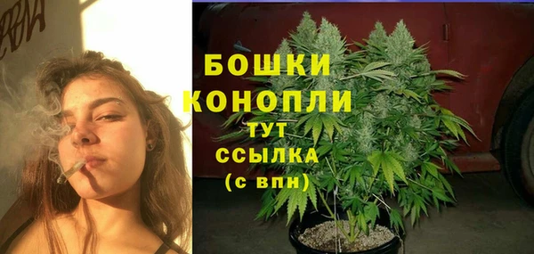 spice Аркадак