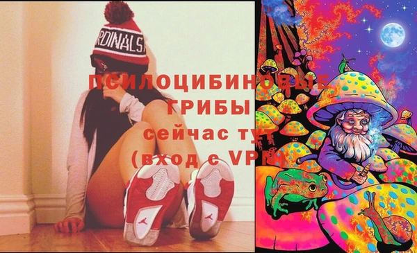 spice Аркадак