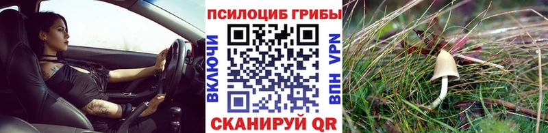 хочу наркоту  Саки  Псилоцибиновые грибы ЛСД 
