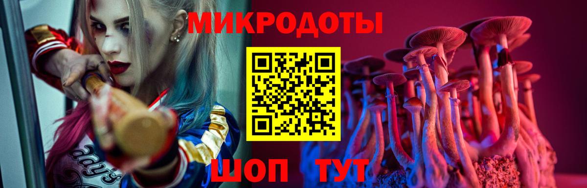 Псилоцибиновые грибы Psilocybe  Псилоцибиновые грибы Psilocybe  Саки  Вход с VPN 